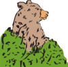 Bear In A Bush Clip Art